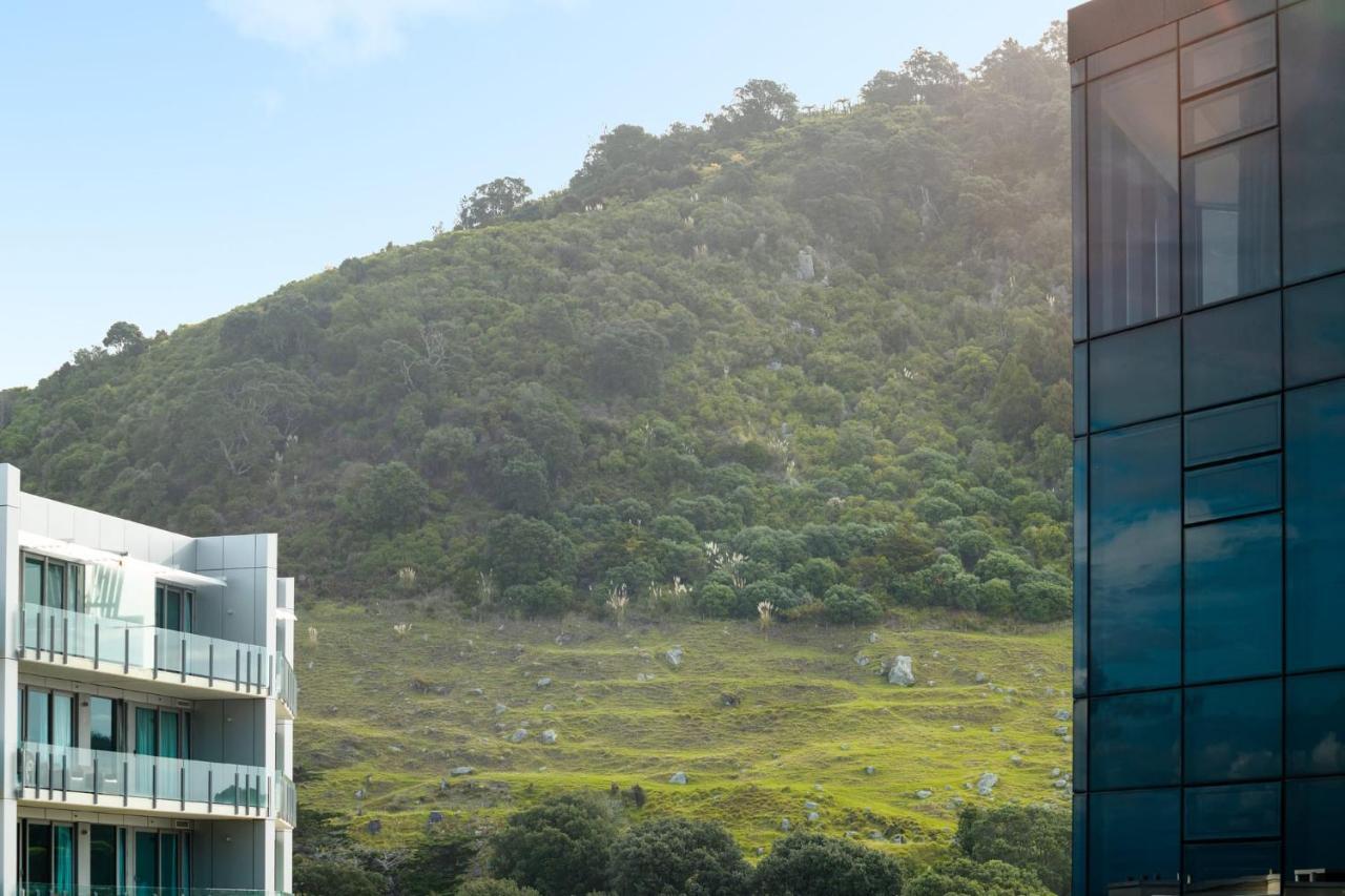 마운트마운가누이 Superb Elevated Views Of Harbour With Heated Pool, Gym & Parking 아파트 외부 사진
